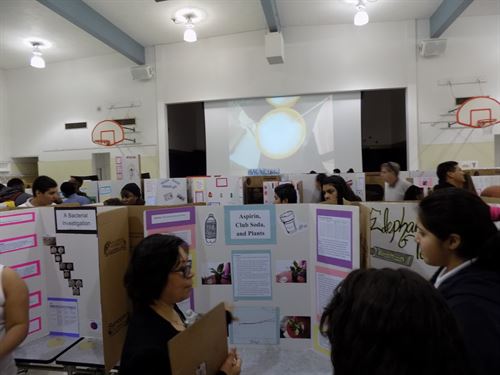 Students and teachers in the gym with science projects